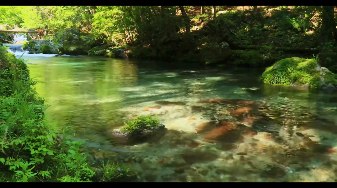 场景模拟森林里的流水和小溪的背景音加白噪音助眠